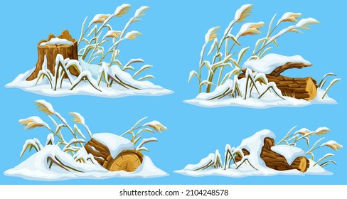 Marsh reed, stump, grass under snow. Swamp cattails winter. Broken tree, weed and snowdrifts. Vector bulrush, trunk for computer games isolated on blue background.