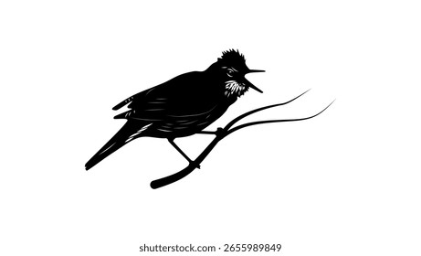 Marsh Warbler Vogel, schwarz, einzelne Silhouette