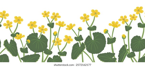 marsh-marigold, vector drawing seamless pattern with wild plants at white background, hand drawn botanical illustration