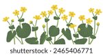 marsh-marigold, vector drawing wild plants at white background, set of floral elements, hand drawn botanical illustration