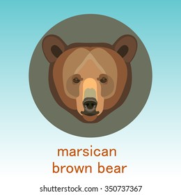 Marsican brown bear. Apennine brown bear.Face flat icon design. Animal icons series.