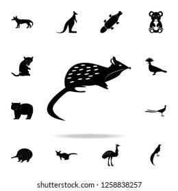 The marsupial marten icon. Detailed set of Australian animal silhouette icons. Premium graphic design. One of the collection icons for websites, web design, mobile app