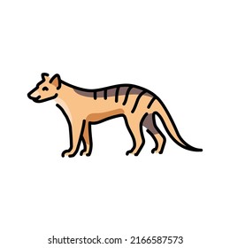 Marsupial wolf color line illustration. Animals of Australia.