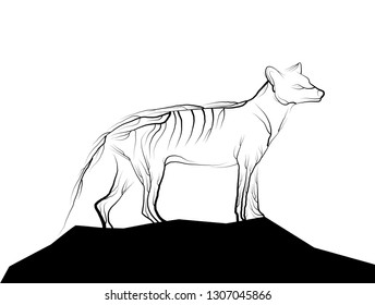 marsupial wolf look like tree branches on the white background, spirit of extinct animal,  extinct animal of Australia, vector