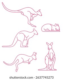 Marsupials Agile Wallaby Assorted Marsupials Agile Wallaby Assorted