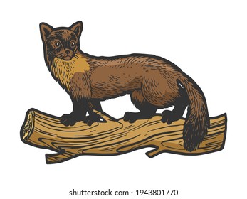 Marten animal color sketch engraving vector illustration. Tee shirt apparel print design. Scratch board style imitation. Black and white hand drawn image.