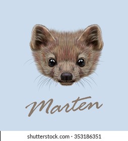 Marten Tier süßes Gesicht. Vektorillustration Wildbrauner Nordamerikaner, Europäer, kanadischer Kiefer Marten Kopfporträt. Martes Martes Martes Foina. Realistisches Pelzportrait von Märchen einzeln auf blauem Hintergrund.