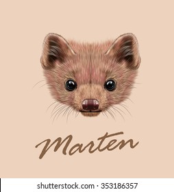 Marten animal cute face. Vector wild brown North American, European, Canadian pine marten head portrait. Martes martes, Martes foina. Realistic fur portrait of marten isolated on beige background.