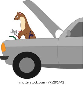 Marten cuts car's cable, vector illustration of marten and car, Crime of the martens, Martens and cars