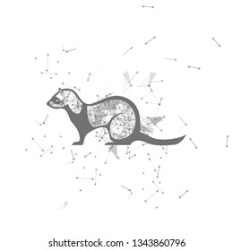 marten.  Polygonal wireframe marten silhouette. low poly vector illustrations on background of points and lines.