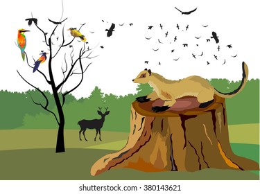 Marten sitting on the tomb. Forest in baclground