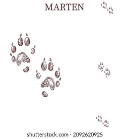marten steps, footprint, trail. squirrel tracks. Typical footprints 