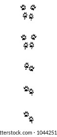 Marten tracks. Typical footprints with long claws - isolated black icon vector illustration on white background.