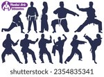 Martial Art or karate Silhouettes Vector illustration