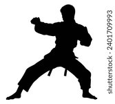 Martial Art Silhouette on White 