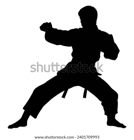 Martial Art Silhouette on White 