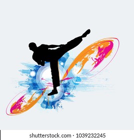 Martial arts. High kick