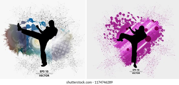 Martial arts. High kick