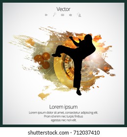 Martial arts. High kick