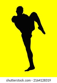 Martial arts karate, boxing, wrestling, kickboxing silhouette. Isolated on yellow background.