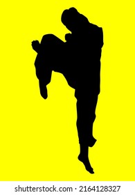 Martial arts karate, boxing, wrestling, kickboxing silhouette. Isolated on yellow background.