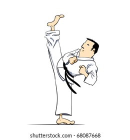 Martial arts - KARATE high kick Detailed Vector illustration