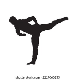 Martial Arts Kung Fu Man Standing Posing Silhouette Vector