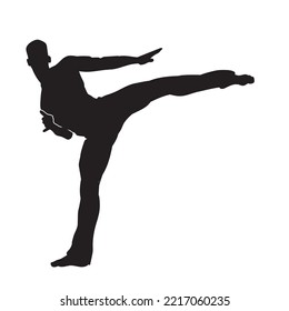 Martial Arts Kung Fu Man Standing Posing Silhouette Vector