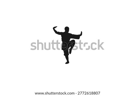 Martial arts master silhouette performing a traditional kung fu stance