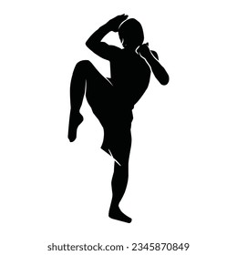 martial arts movement silhouette. vector image