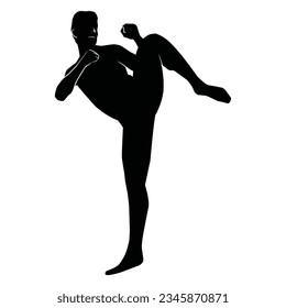 martial arts movement silhouette. vector image