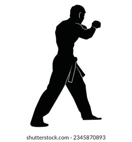 martial arts movement silhouette. vector image