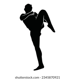 martial arts movement silhouette. vector image