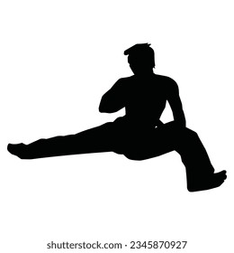 martial arts movement silhouette. vector image