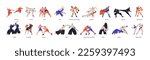 Martial arts set. Taekwondo, judo, wushu, capoeira, sumo fighters in fighting poses, action. Wrestling, boxing, muay thai, sambo sports. Flat graphic vector illustrations isolated on white background