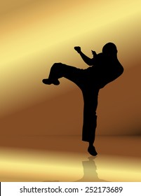 Martial arts. Vector illustration 