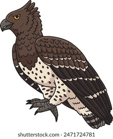 Martial Eagle Bird Cartoon Colored Clipart 