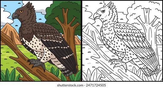 Martial Eagle Bird Coloring Page Illustration