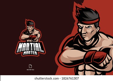 martial fighter mascot logo character illustration template