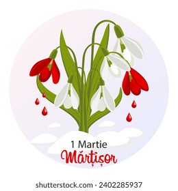 Martisor, Moldovan and Romanian traditional spring festival. Bouquet of white and red snowdrops. Floral spring background, postcard, vector