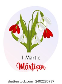 Martisor, Moldovan and Romanian traditional spring festival. Bouquet of white and red snowdrops. Floral spring background, postcard, vector