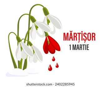 Martisor, Moldovan and Romanian traditional spring festival. Bouquet of white and red snowdrops. Floral spring background, postcard, vector