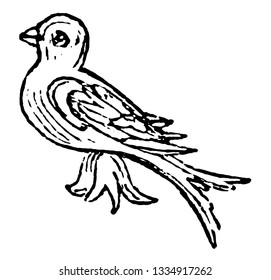 Martlet Difference used by armorists at the present time are nine in number, vintage line drawing or engraving illustration.