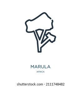 marula thin line icon. nature, branch linear icons from africa concept isolated outline sign. Vector illustration symbol element for web design and apps.