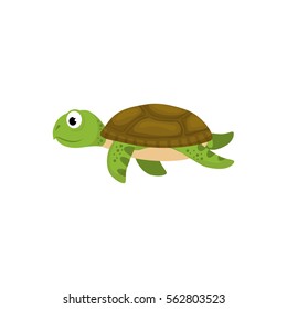 Marune turtle animal icon vector illustration graphic design