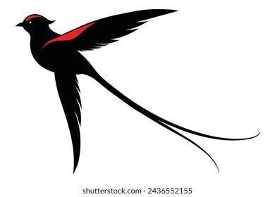 marvellous spatuletail bird vector illustration 