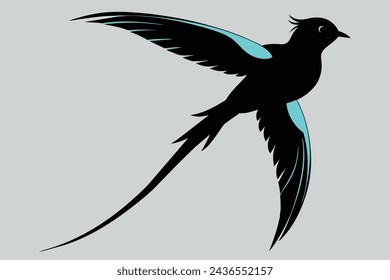 marvellous spatuletail bird vector illustration 