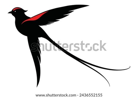 marvellous spatuletail bird vector illustration 