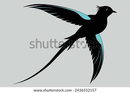 marvellous spatuletail bird vector illustration 