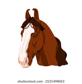 Raça de cavalo Marwari, retrato de cabeça. Lindo avatar de garanhão puro-sangue. Equídeo da Índia, raça malani pura de Marwar, Índia. Ilustração vetorial gráfica plana isolada no plano de fundo branco